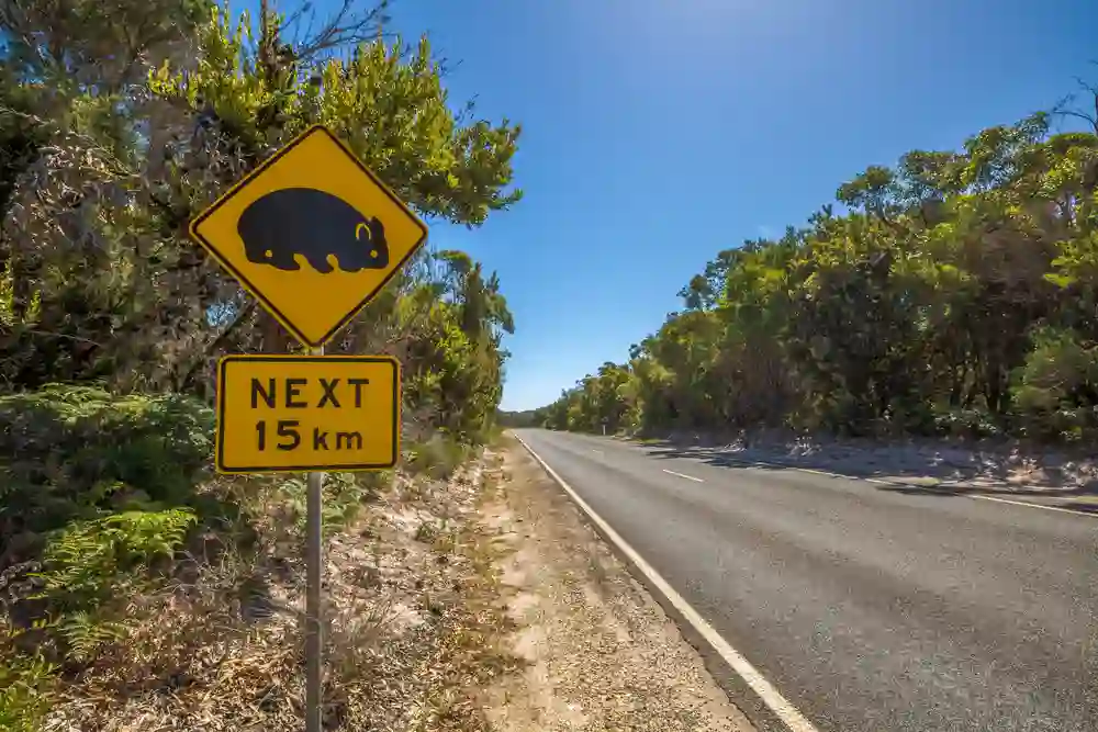 Driving in Tasmania