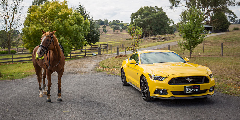 ford mustang gt 2017 horse
