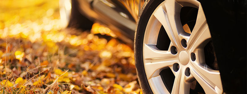 tyres rims autumn leaves