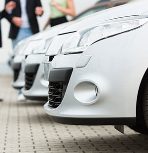 white cars car showroom